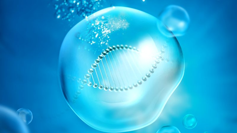 生物医药外包公司加盟代理：揭秘行业背后的合作逻辑**