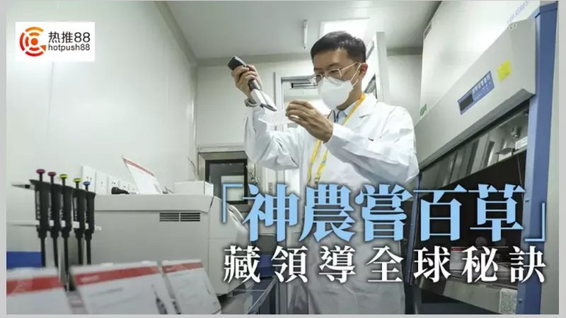 引物合成与HPLC纯化：揭秘精准合成背后的技术奥秘**