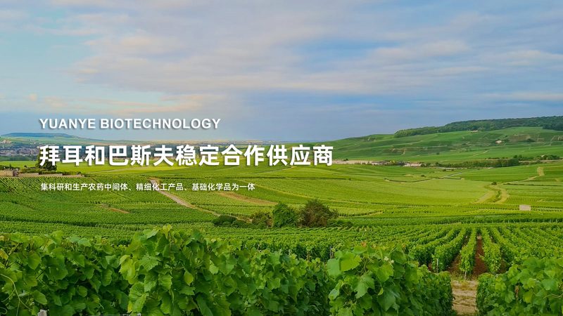 血液制品定制服务：揭秘其背后的科学与技术