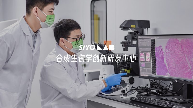 分子生物学试剂分类标准揭秘：如何选择合适的工具