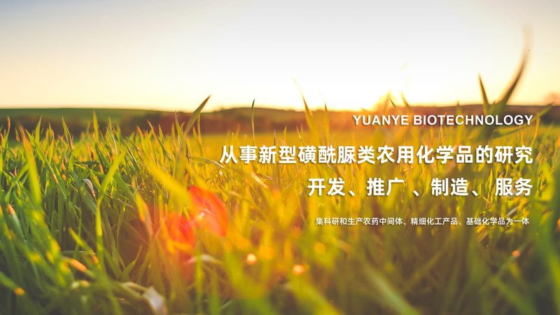PCR检测等待时间过长，背后原因揭秘