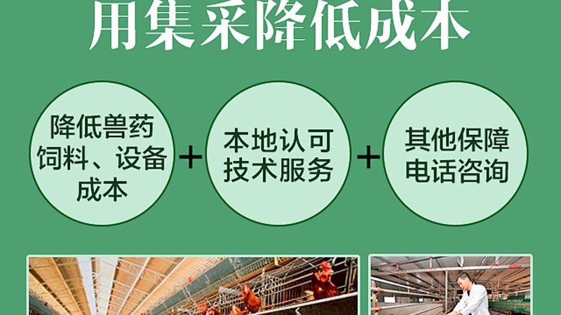 网站改版中，CRO服务与用户体验的权衡之道