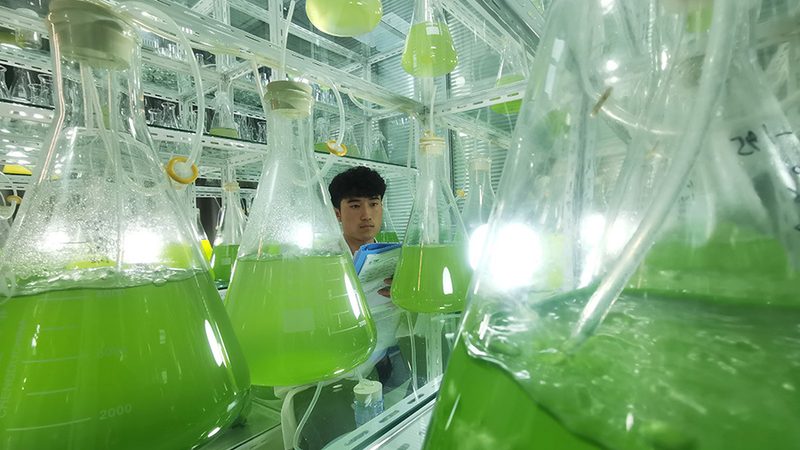 生物医药内包与外包：成本背后的考量**
